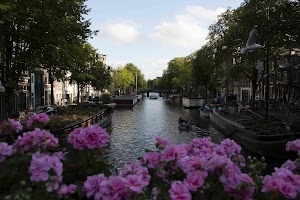 IMG_9499.jpg