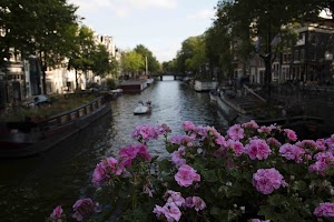 IMG_9524.jpg