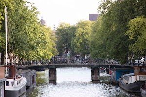 IMG_9531.jpg