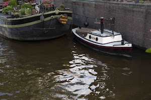 IMG_9535.jpg