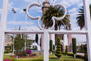 _DSF7625.jpg