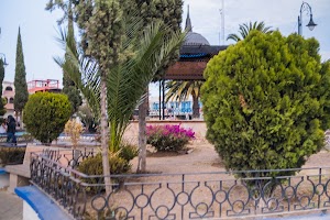 _DSF7683.jpg