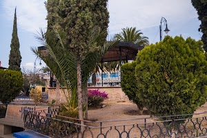 _DSF7685.jpg