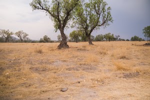 _DSF7733.jpg