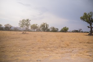 _DSF7737.jpg