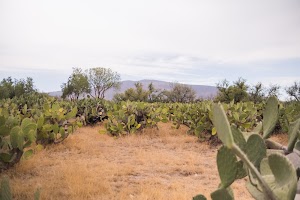 _DSF7738.jpg