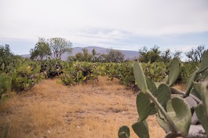 _DSF7739.jpg
