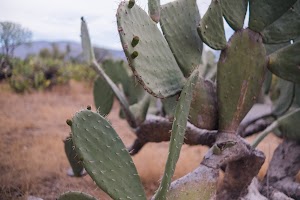 _DSF7740.jpg
