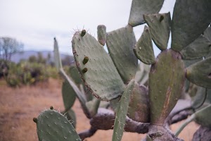 _DSF7741.jpg