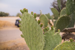 _DSF7749.jpg