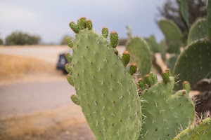 _DSF7750.jpg