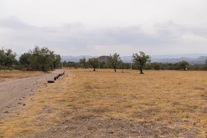 _DSF7752.jpg