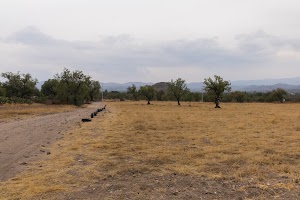 _DSF7754.jpg