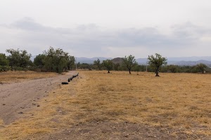 _DSF7755.jpg