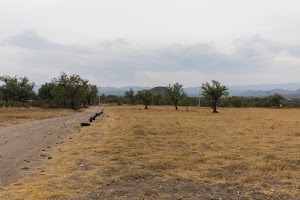 _DSF7757.jpg