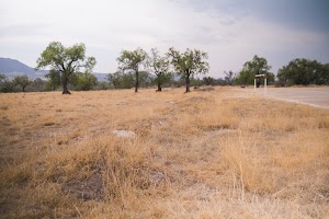 _DSF7759.jpg