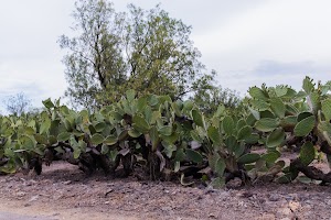 _DSF7760.jpg