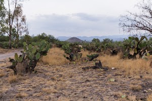 _DSF7761.jpg