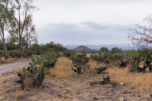 _DSF7762.jpg