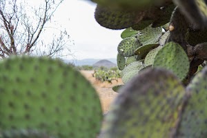 _DSF7787.jpg