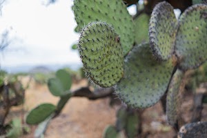 _DSF7790.jpg