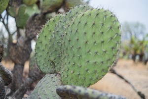 _DSF7797.jpg