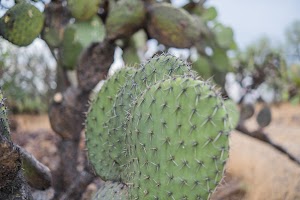 _DSF7801.jpg