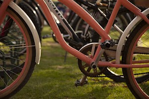IMG_0643.jpg