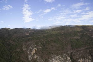 IMG_9770.jpg