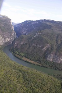 IMG_9782.jpg