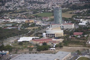 IMG_9831.jpg
