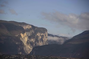 IMG_9994.jpg