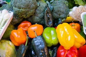 _DSF8454.jpg