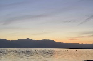 DSC_0095.jpg