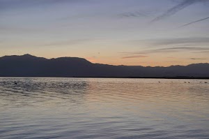DSC_0096.jpg