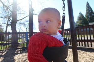 IMG_2909.JPG