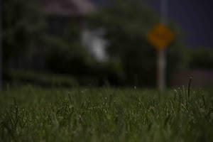 IMG_9487.jpg
