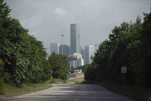 IMG_9495.jpg
