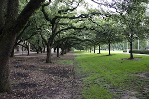 IMG_9577.jpg