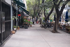 _DSF9544.jpg