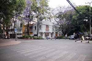 _DSF9555.jpg