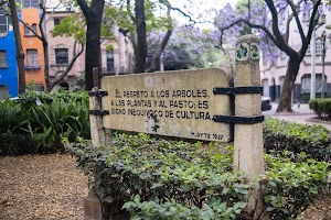 _DSF9568.jpg