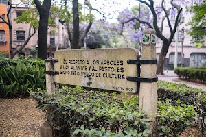 _DSF9569.jpg