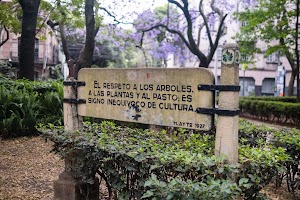 _DSF9570.jpg