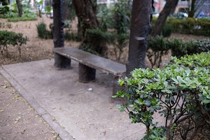 _DSF9572.jpg