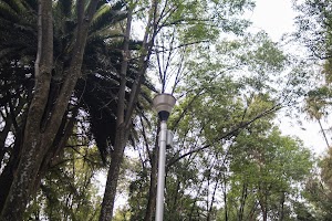 _DSF9579.jpg