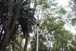 _DSF9580.jpg
