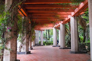 _DSF9679.jpg