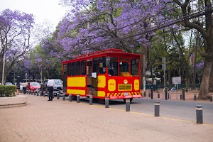 _DSF9704.jpg