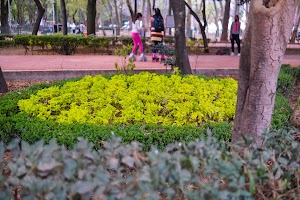_DSF9730.jpg